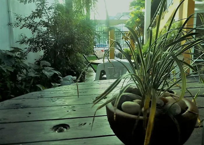 Chichi House *