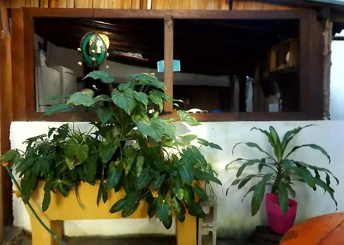 Pensión Chichi House *